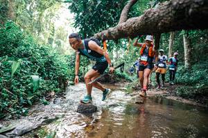 BIB: 
                            <button type="button" onclick="openModal(25368945)" class="btn btn-primary btn-sm float-right btn-popup" data-toggle="modal" data-target=".modal-high-quality">
                        <i class="fas fa-shopping-cart"></i> Add to Cart
                    </button>
                                            <button type="button" onclick="isThisMe(25368945, true)" class="btn btn-success btn-sm float-right btn-popup btn-isme hidden" data-toggle="tooltip" data-placement="bottom" title="นี่คือรูปของคุณใช่ไหม คลิกที่นี่เพื่อเอาเข้าอัลบั้ม">
                        <i class="fas fa-plus"></i> Add to album
                    </button>
                    <button type="button" onclick="isThisMe(25368945, false)" class="btn btn-warning btn-sm float-right btn-popup btn-isnotme hidden">
                        <i class="fas fa-ban"></i> Remove from album
                    </button>